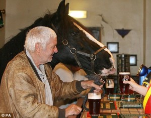 horse walks into a bar