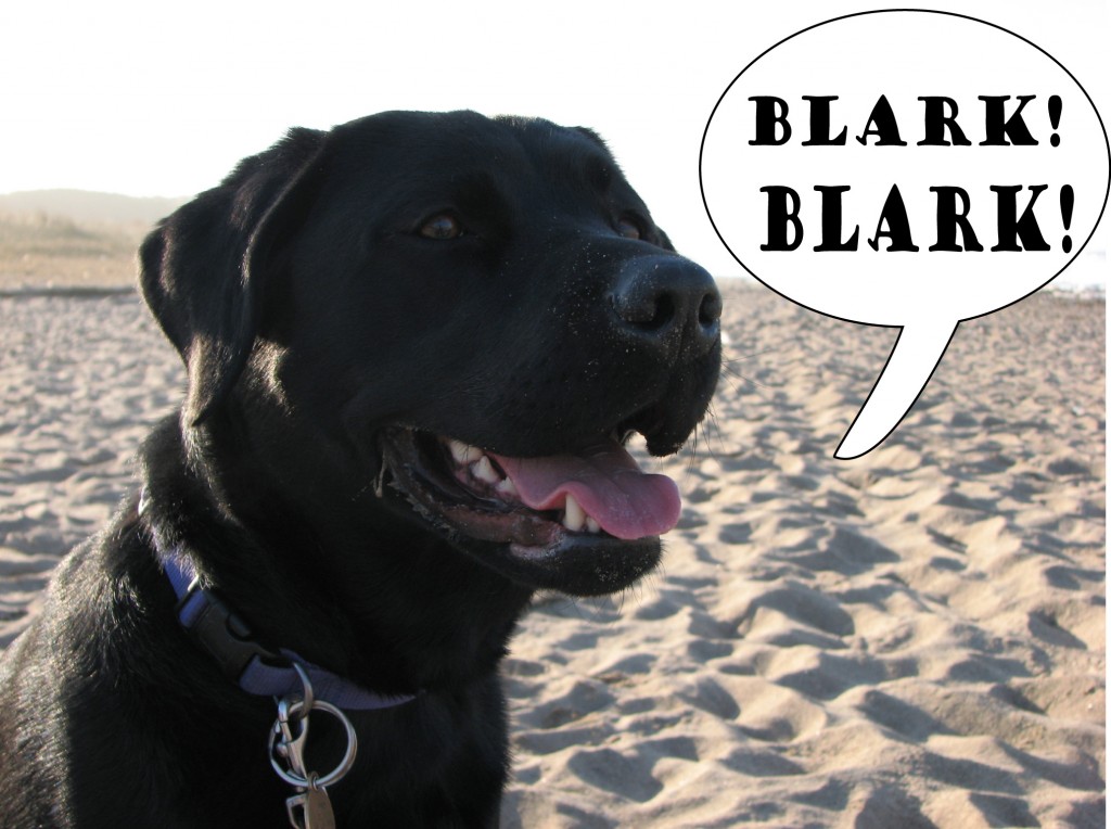 Dog Blark
