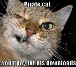 pirate-cat 2